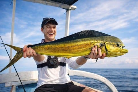 Mahi - Mahi fisketur på Nord Bali Indonesien