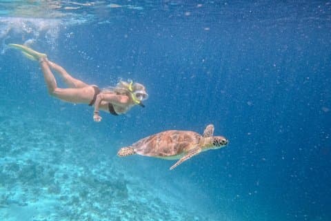 Gruppe snorkeltur i Gili Islands med GoPro-dokumentation