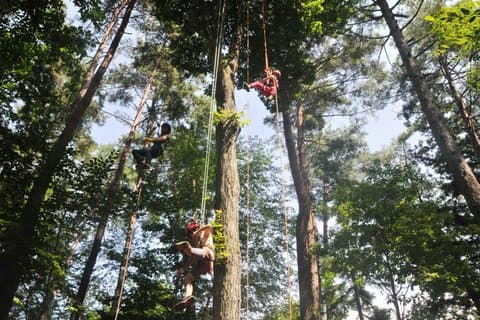 Nagano Omachi Forest Immersion und Kunsthandwerk Holzfäller Tour