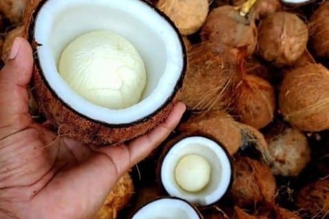 Visite culturelle de Stone Town et Spice Farm