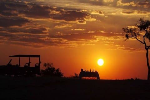 Excursion safari au lever ou au coucher du soleil dans le parc national Pilanesberg