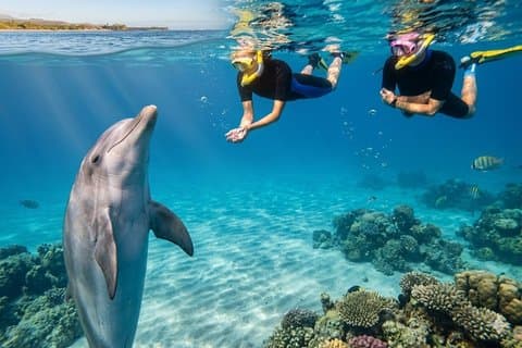 Hurghada Dolphin House avontuur
