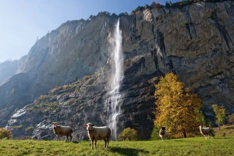 Excursion guidée d'une journée à Grindelwald et Lauterbrunnen au départ d'Interlaken