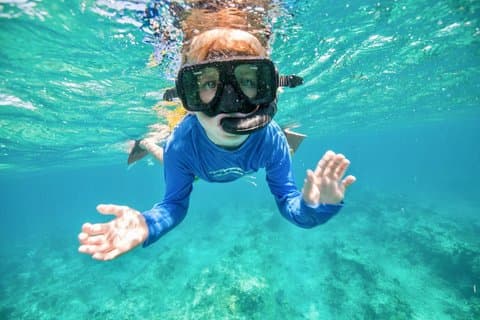 Halvdagskryssning på morgonen från Providenciales med snorkling och Iguana Island