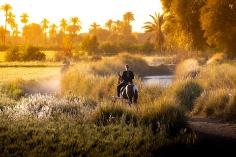 Reittour durch das ländliche Luxor Ostseite