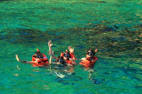 Snorkelbådtur med guide, drikkevarer og frugt