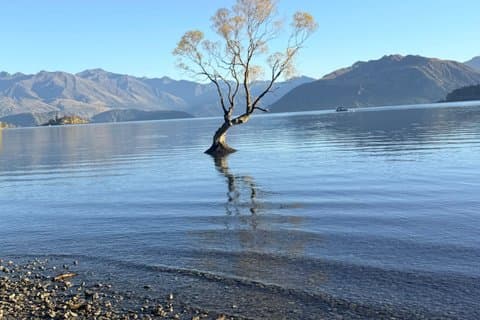 Excursión privada a Wanaka y Cromwell, excursión panorámica de un día desde Queenstown