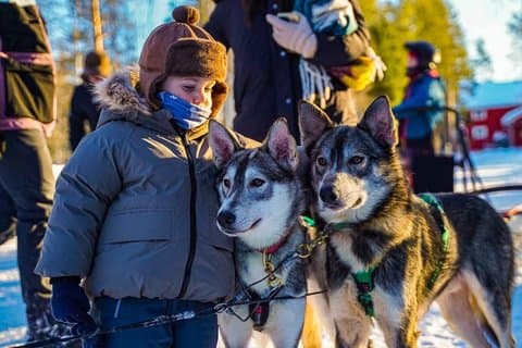 Rovaniemi : Tour de Safari Husky en el Ártico