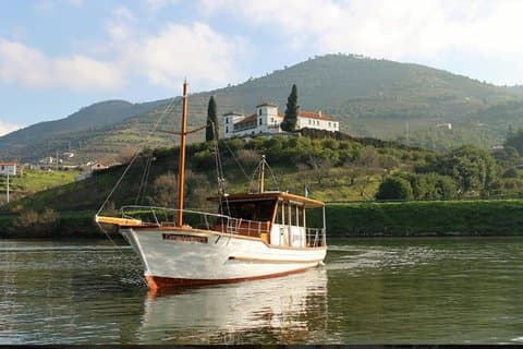 Private Douro Valley Wine Tour with Scenic Cruise and Lunch