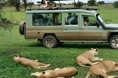 ダルエスサラームからSgr列車で行くミクミ国立公園への日帰り旅行