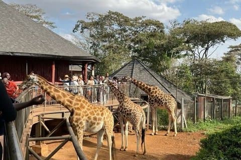 Excursão ao Centro de Elefantes e Girafas do Parque Nacional de Nairobi