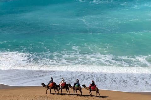 Tangier in One Day with seaside views, Camel Ride and Medina Tour