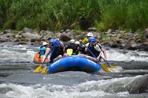 Rainforest Falls og Rafting klasse II og III