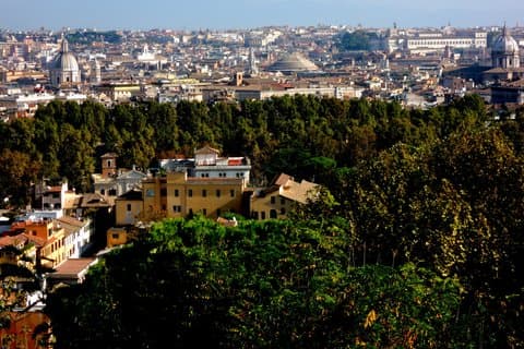 Rome Half Day Private Tour with Driver-Guide