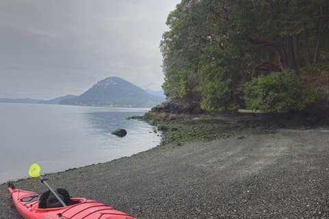 シャチ島でのロザリオコースタルカヤックツアー