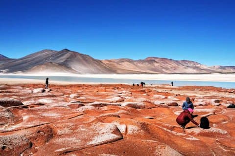 Explora lagunas altiplánicas y Chaxa