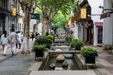 Hangzhou Dynasties History and Traditional Chinese Medicine Tour