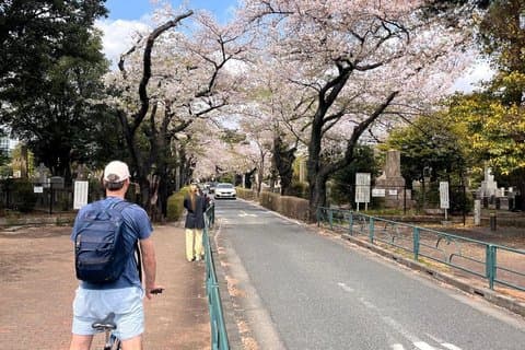 3-Hr Tokyo Bike Tour: Shibuya Highlights, Backstreets/Hidden Gems