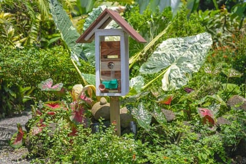 Costa Rica Miele d'ape senza pungiglione ed esperienza culturale nella zona blu