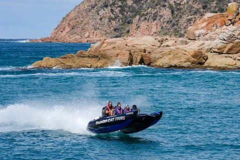 Phillip Island: High-Speed Sea Caves Boat Tour w/Seals
