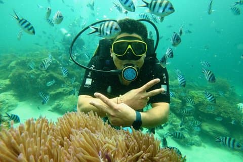 Hotell i nærheten av Nha Trang Marine Park