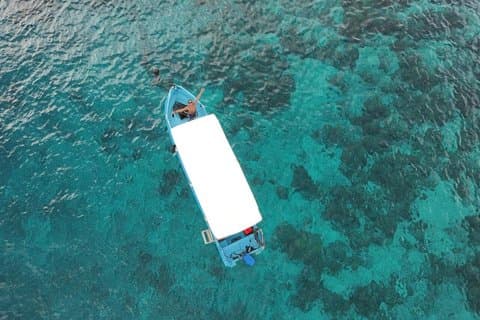 Private Gili snorkeltur: Turtles & Reefs + GoPro + Drinks