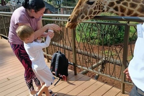 Giraffe Centre och besök på Kobe pärlor Factory Guidad tur