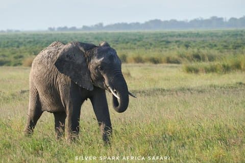 5-daagse Crescent Island, Hell'S Gate, Naivasha, Amboseli National Park