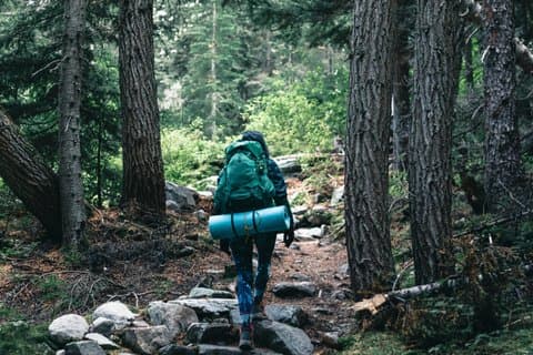 Da Barcellona : Terme & Passeggiata panoramica in montagna