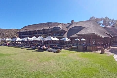 Big Five Game Safari and Afternoon Buffet Experience