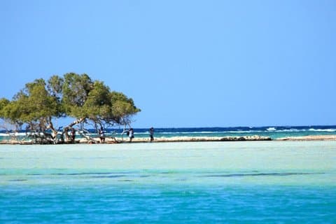 Marsa Moubarak Excursion en bateau Snorkeling avec déjeuner : Marsa Alam