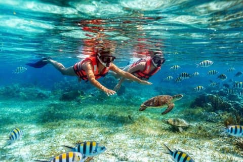 Plongée en apnée dans le parc national de Cancún avec déjeuner en bord de plage