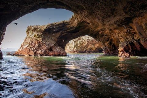 Dagtocht naar Paracas, Ica per toeristisch vervoer vanuit Lima