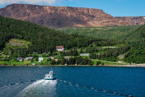 Tablelands Bonne Bay Catamaran Tour