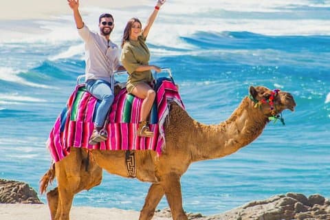 Camel Beach Ride Adventure in Los Cabos met Tequila proeverij