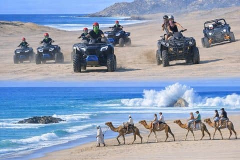 3 - Day Cabo San Lucas Play Pass : Do Cabo Your Way