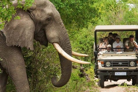 2 nætter & 3 dage Kruger Nationalpark Safari & panorama rute
