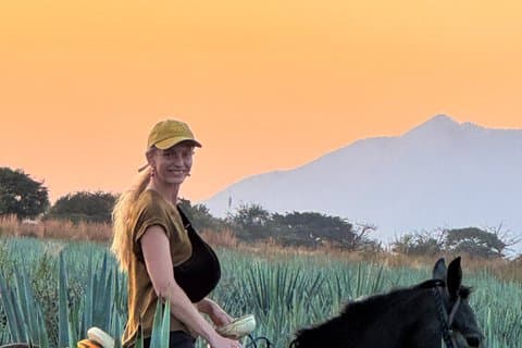 Passeio a cavalo pelos campos de agave em Tequila