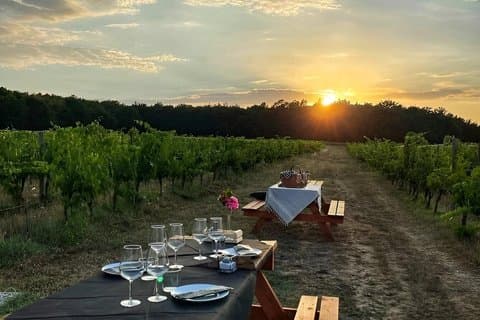 Tuscany Culinary Journey Markets Vineyards and Tastings