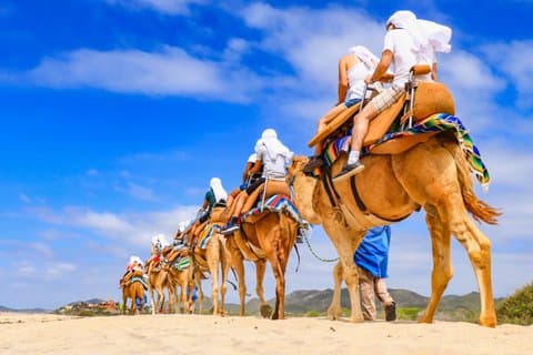 Cabo Camel Safari e passeio de praia com degustação de tequila e buffet