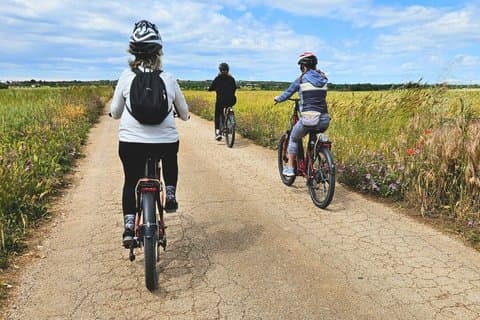 Matera E Bike Tour Sassi and Park of Rupestrian Churches