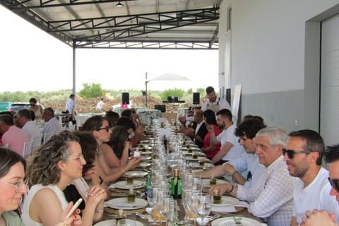 Økologisk EVOO smagsoplevelse i Don Quixote’s Land