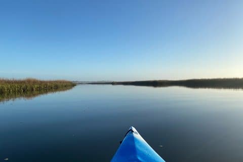 Masonboro Island Intracoastal Kayak Tour