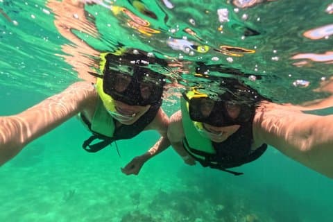 Snorkeling with Turtles in Akumal Bay