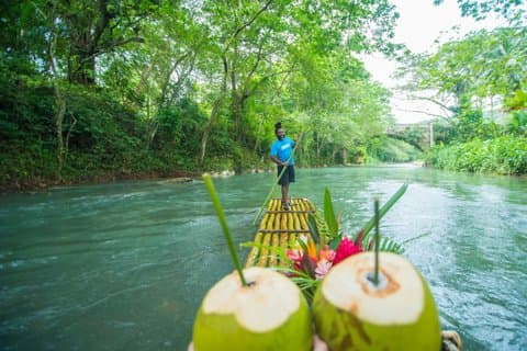 Private Bamboo River Rafting and Shopping Montego Bay Jamaica