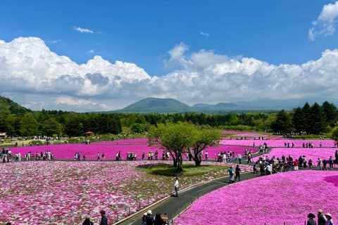 VIP Mt Fuji Tour by Luxury Car English speaking Driver Guide