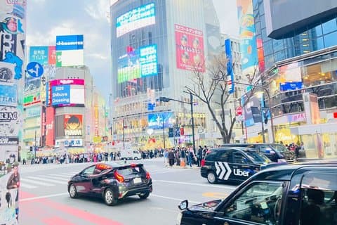 Authentic Tokyo Walking Experience: Hidden Streets & Local Life