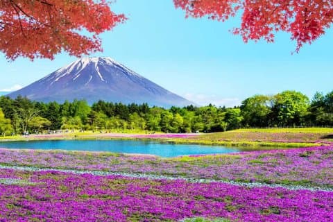 Mt. Fuji Two Lakes Swan Cruise and Hot Spring One Day Tour