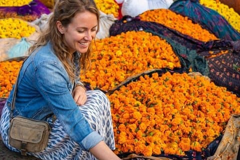 Halvdagstur i Jaipur med Monkey Temple