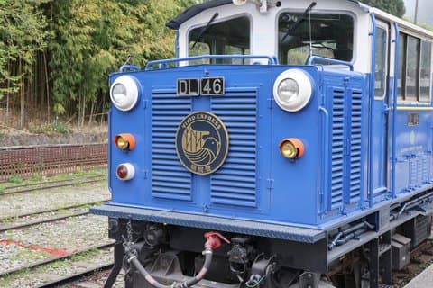 Vivid Express(A) and Shuttle Service